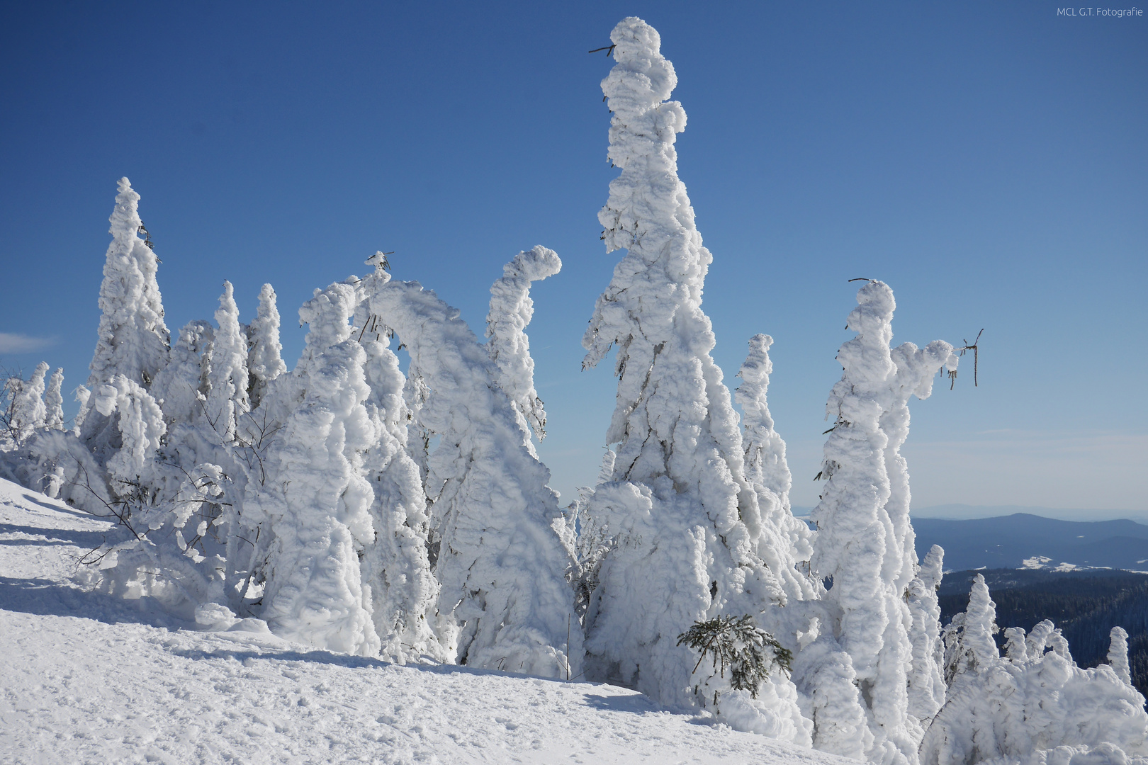 Schneewesen