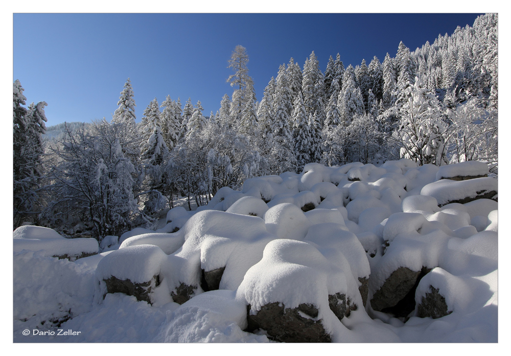 Schneewichte