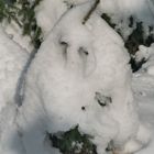 Schneewichtel