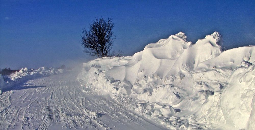 Schneewinter 2010 (Schleswig-Holstein)