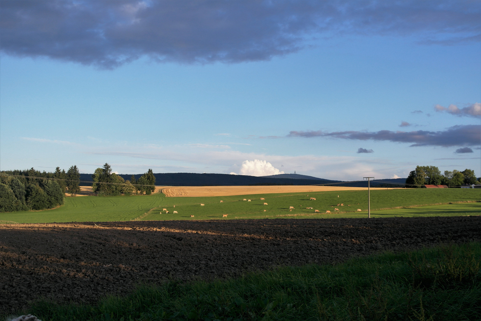 "Schneewolke" am Schneeberg