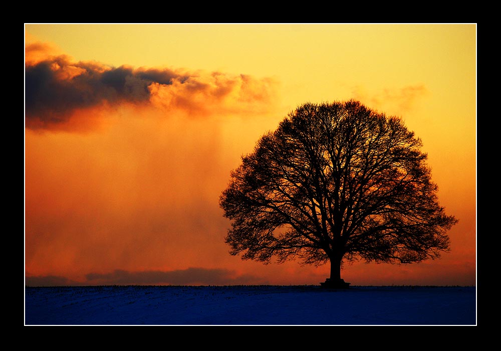 Schneewolke im Restlicht des Abends