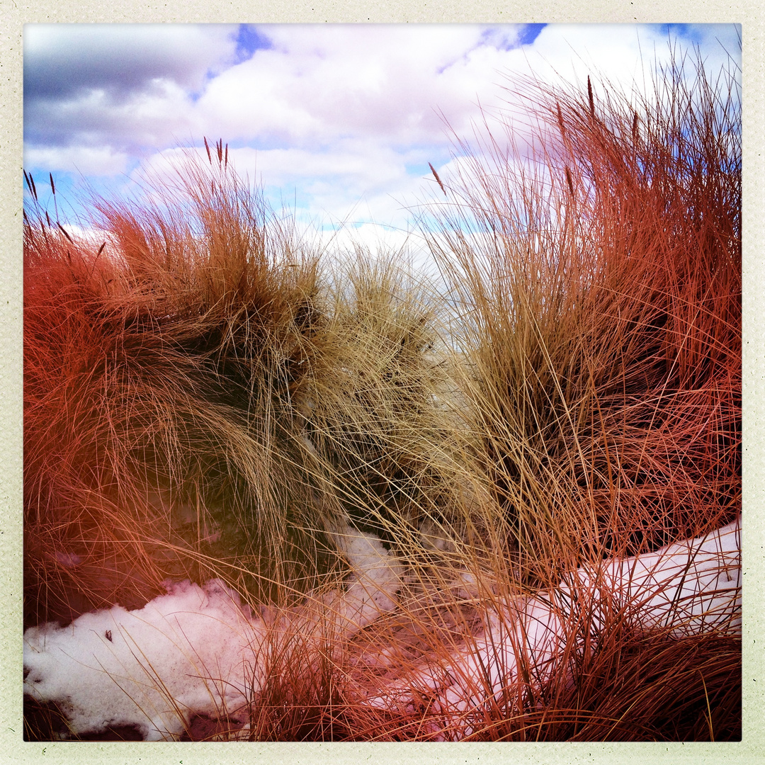 Schneewolken