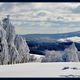 WINTER  Rhön 