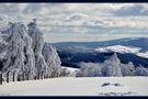 WINTER  Rhön 