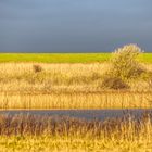 *** Schneewolken und Sonne *** 