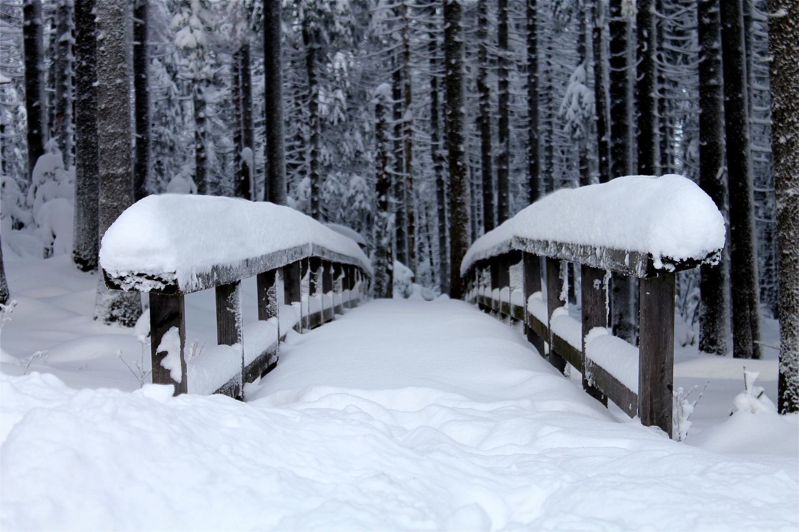 Schneewüste 4