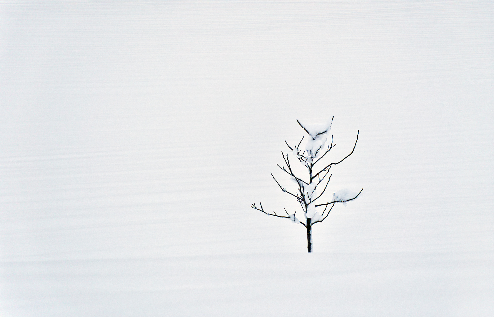 Schneewüste