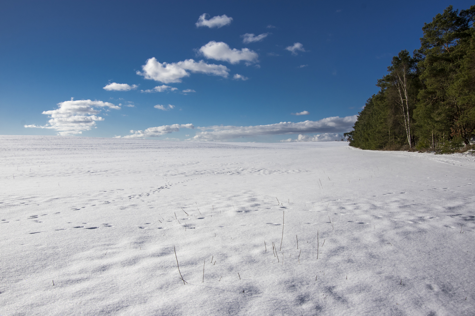 Schneewüste bei Soderstorf