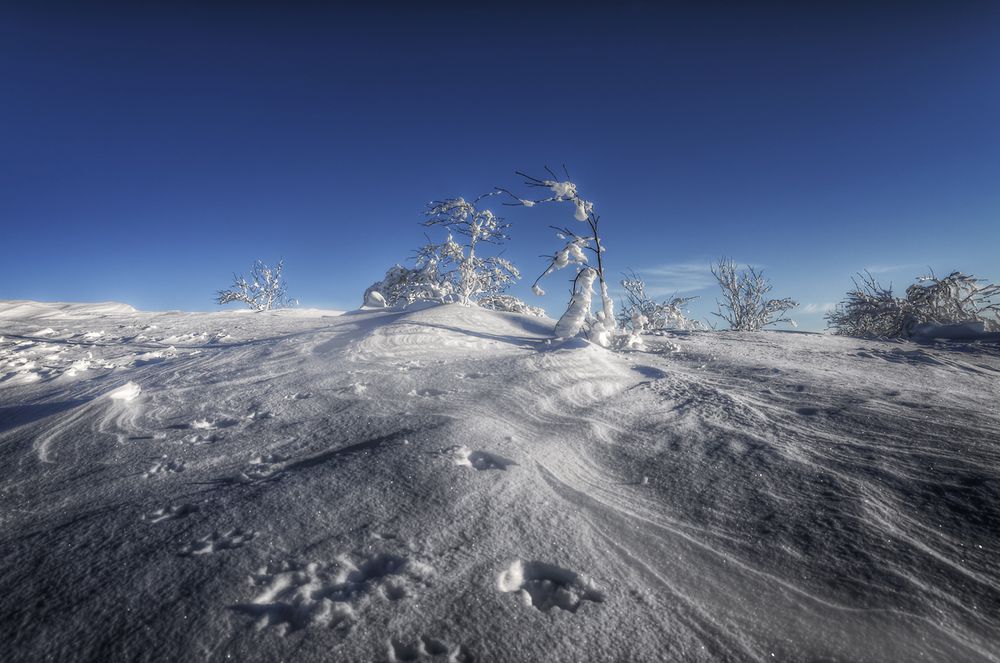 Schneewüste