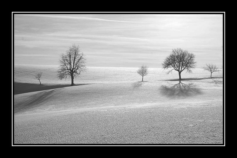 Schnee/Wüste - Schneewüste?