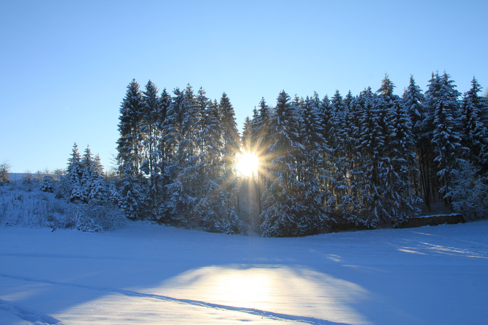 Schneewunder