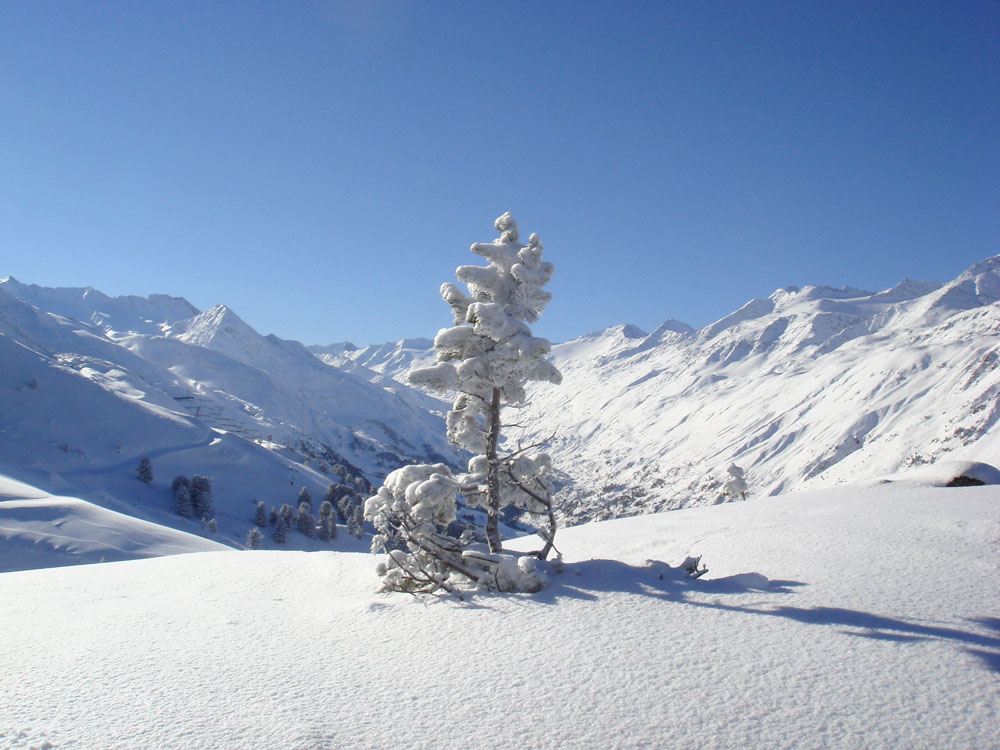 Schneezauber