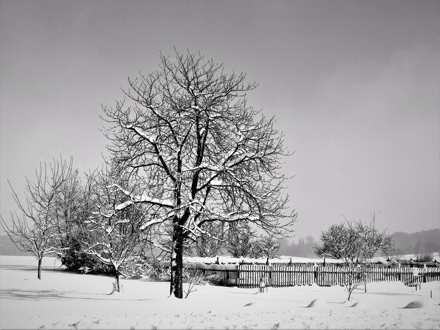 Schneezauber...