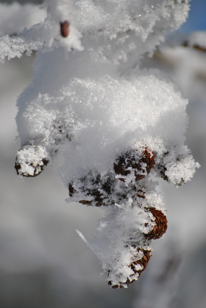 Schneezauber