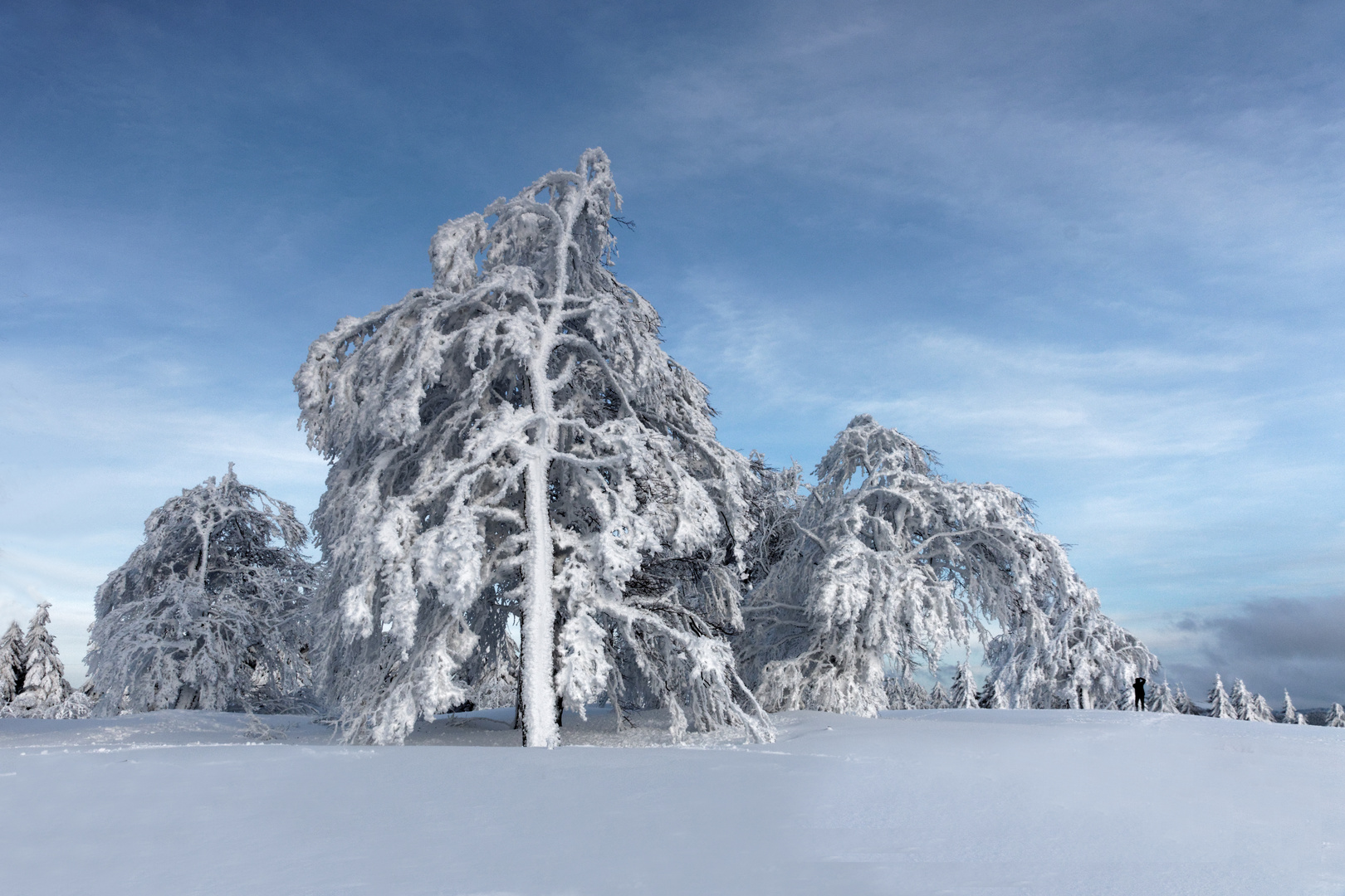 Schneezauber auf dem Schauinsland 1