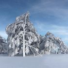 Schneezauber auf dem Schauinsland 1