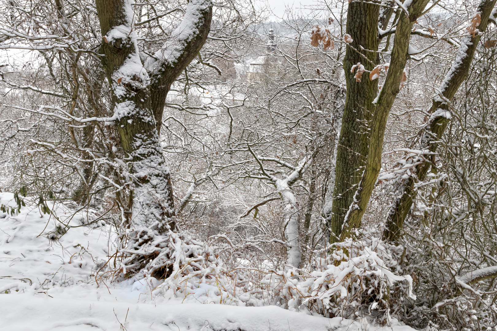 Schneezauber