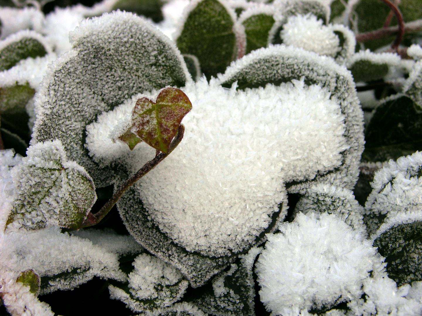 Schneezauber