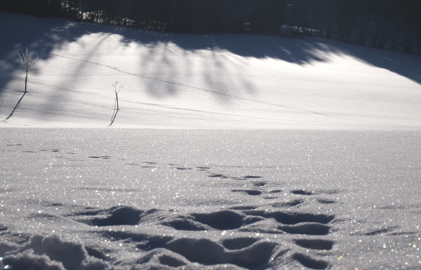 Schneezauber