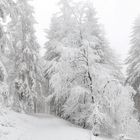 Schneezauber im Taunus