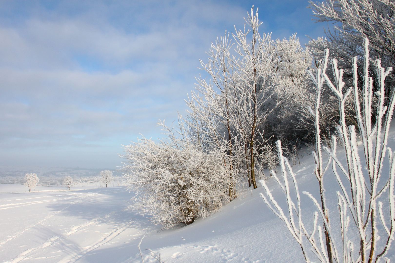 Schneezauber im Vorland des Thüringer Waldes