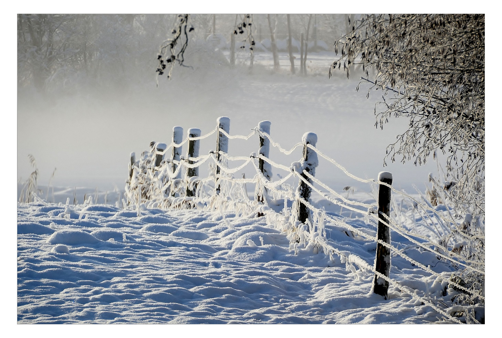 Schneezaun