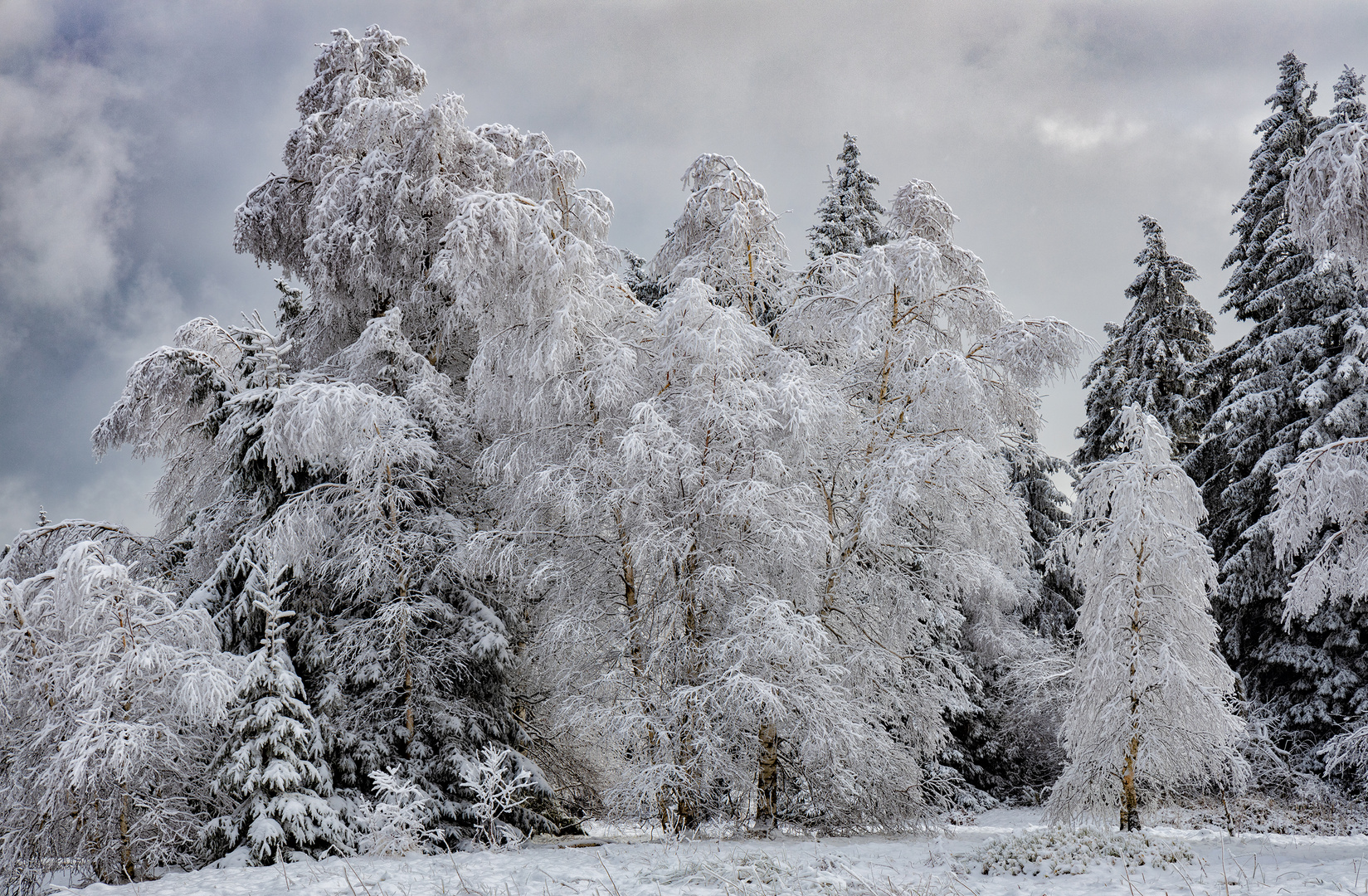 Schneezeit...