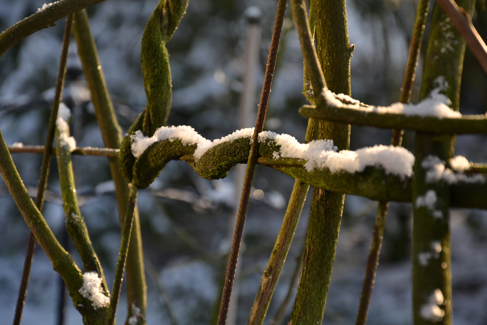 Schneezeit