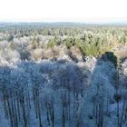 Schneezeit am Hoherodskopf