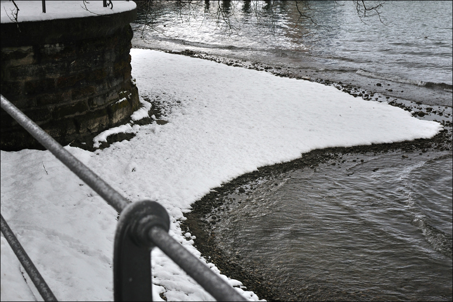 Schneezunge