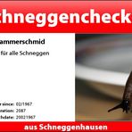 schneggenchecker