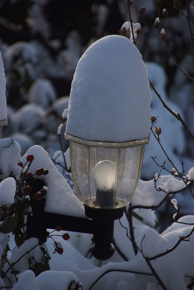 Schnehaube