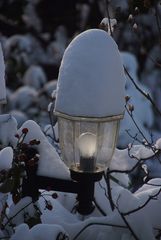 Schnehaube