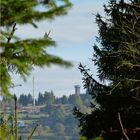 Schneisenblick zum Aschbergturm