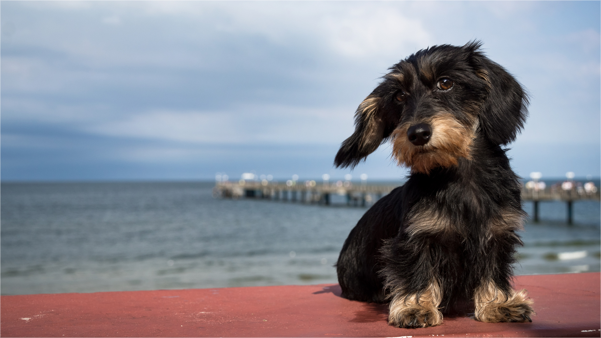 Schnell der Ostseewind pustet mich gleich um...