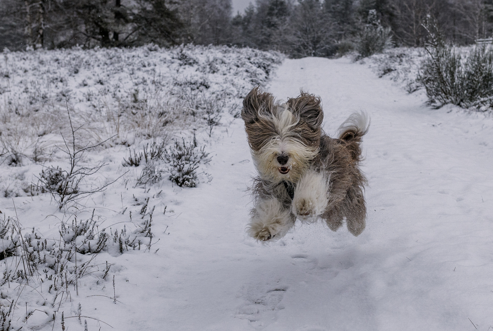 Schnell noch den Schnee genießen...