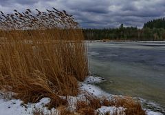 Schnell noch ein eiskaltes Winterfoto