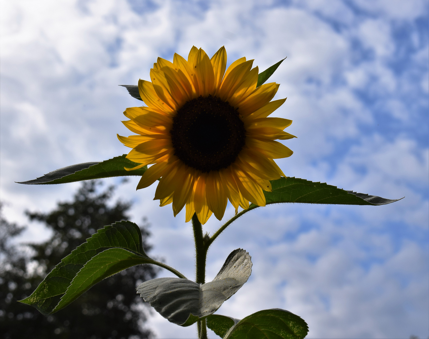 schnell noch etwas Sonne eingefangen