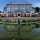 Schnell noch was zum Spiegeltag  -  Botanischer Garten Berlin