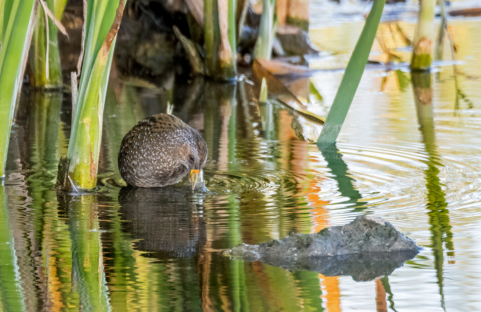 "SCHNELL NOCH WASCHEN"