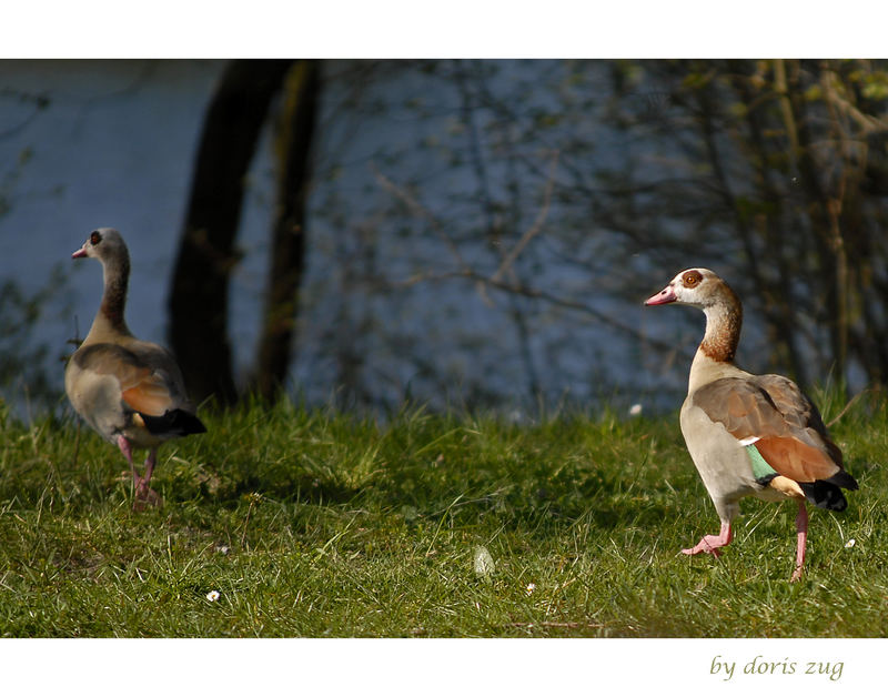 Schnell verschwinden, Chill ist im Anmarsch...