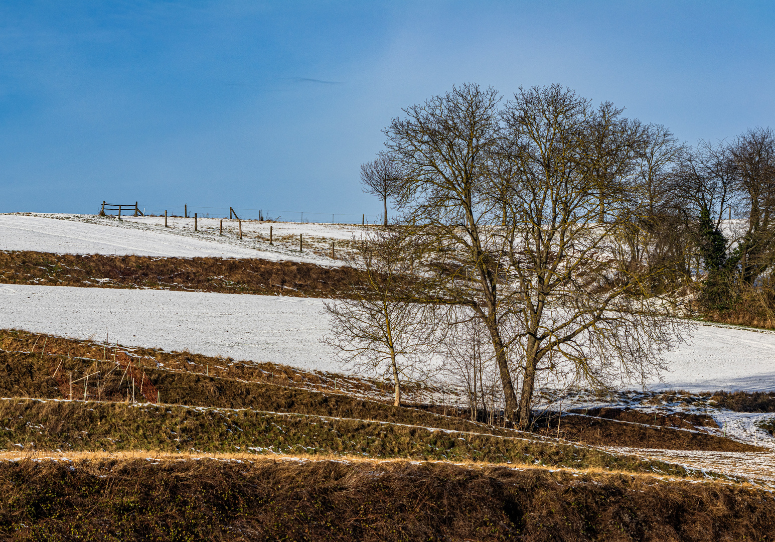 Schnell verschwunden war der Schnee