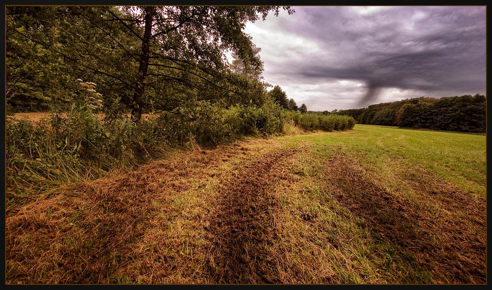 Schnell weg!