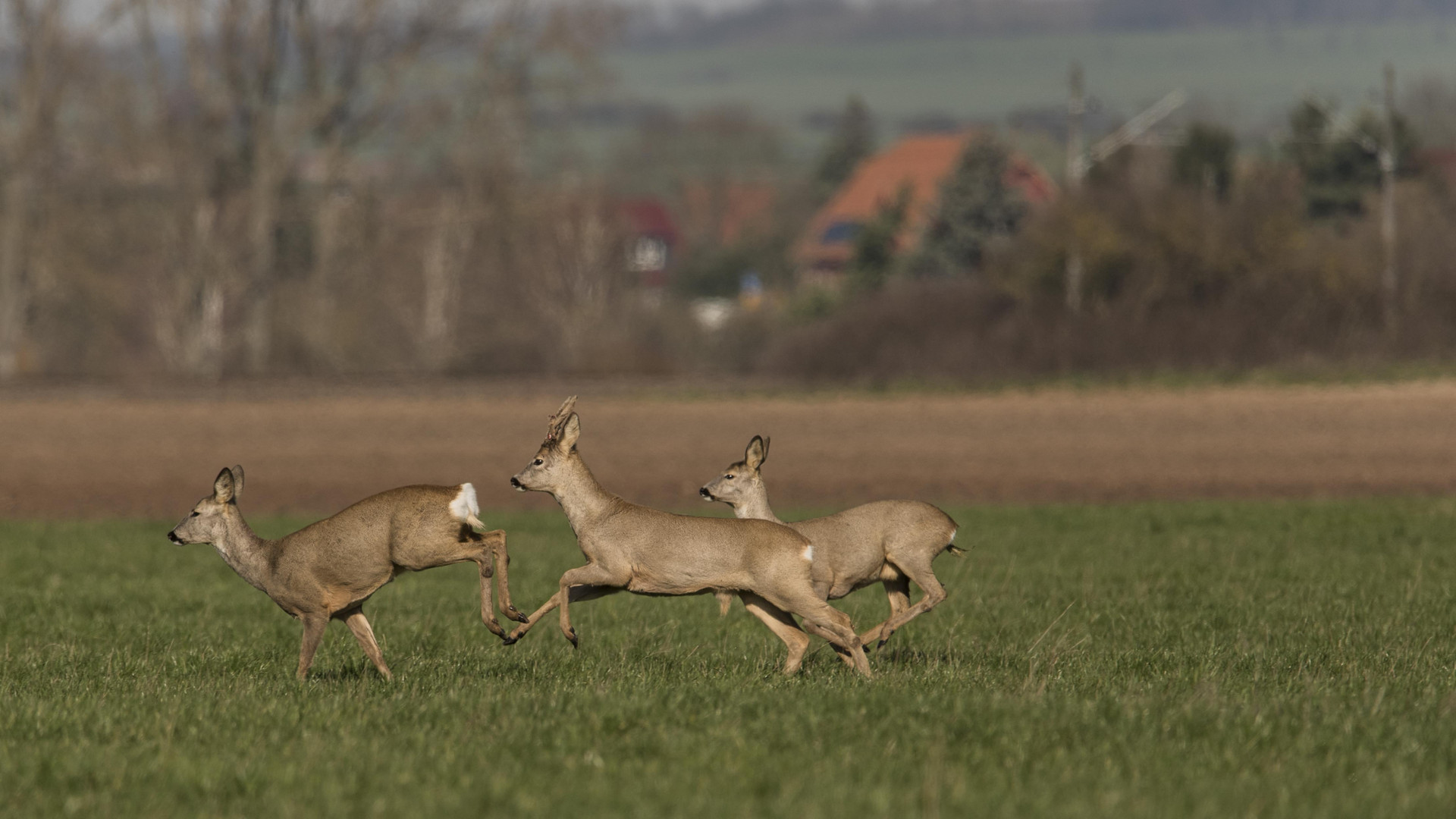 Schnell weg...