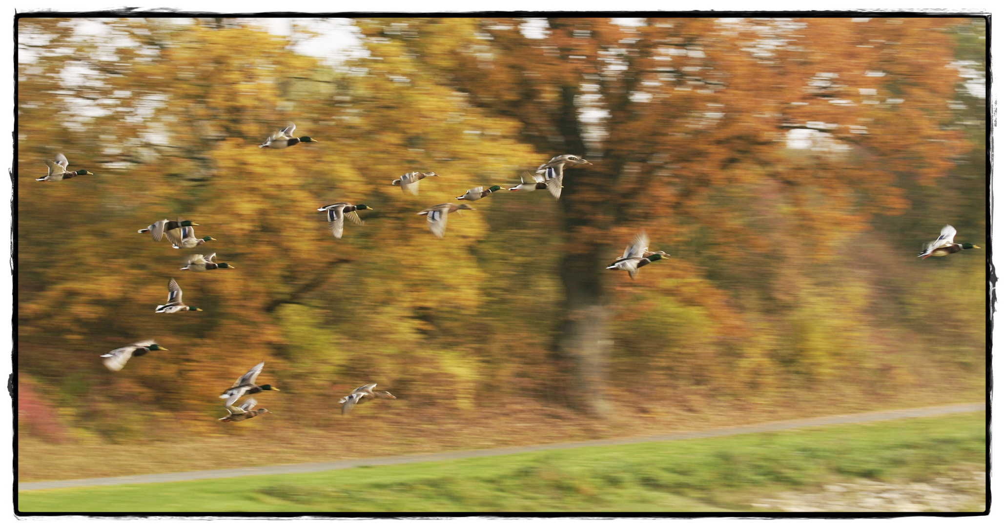 " Schnell weg, Feind in Sichtweite "