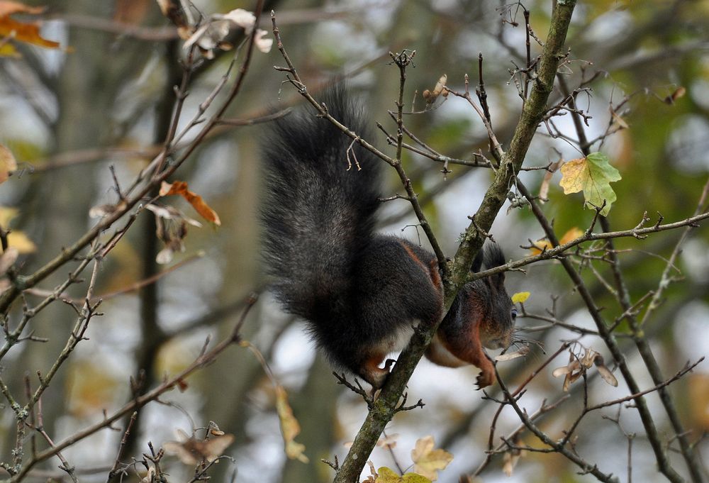 ..schnell weg in`s Wochenende..