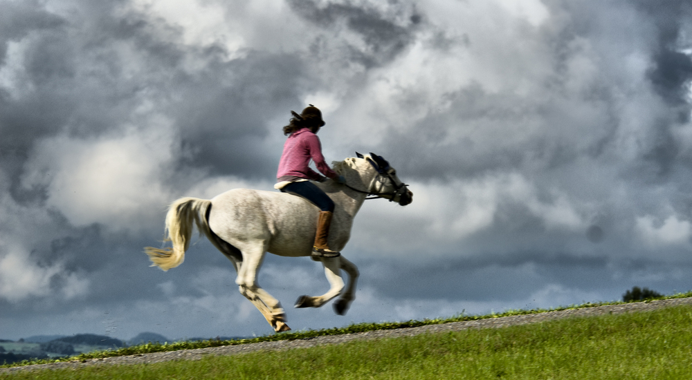 schneller als der Wind