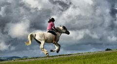 schneller als der Wind