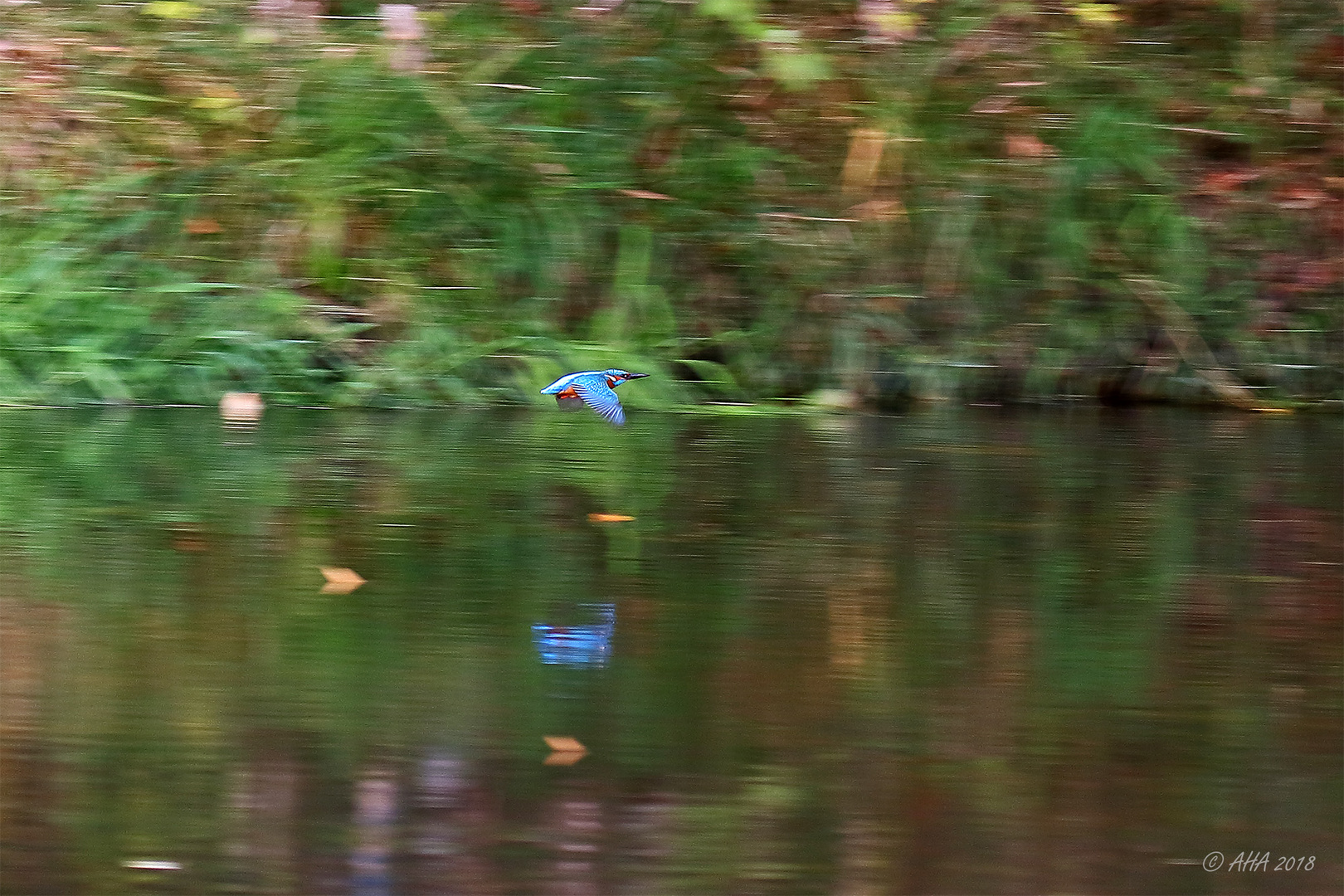 Schneller Flieger